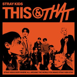 [QQ MUSIC MEMBERSHIP PACKAGE] stray kids [this & that] 