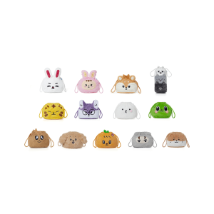 [MINITEEN] Pouch