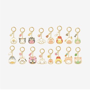 METAL KEYRING - SKZOO X SANRIO CHARACTERS