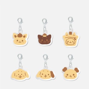 RANDOM MINI ACRYLIC CHARM